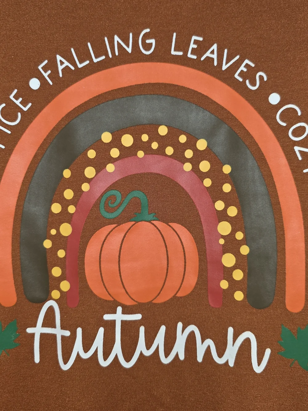 Autumn Pumpkin Graphic Sweatshirt - Rust Orange